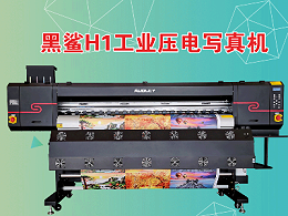 New high-end photo machine, with multiple printing solutions!